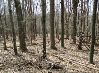 0 E Hill Rd, Naples, NY 14512