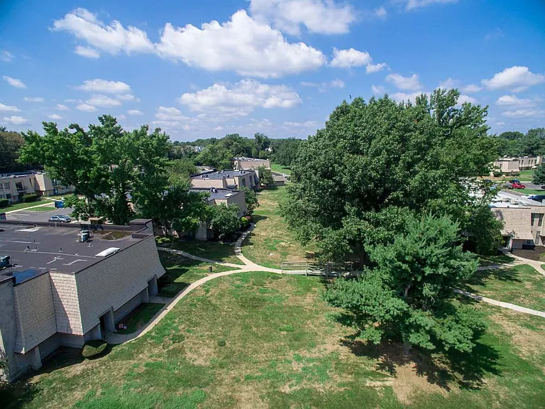 Forest Creek — Photo 16