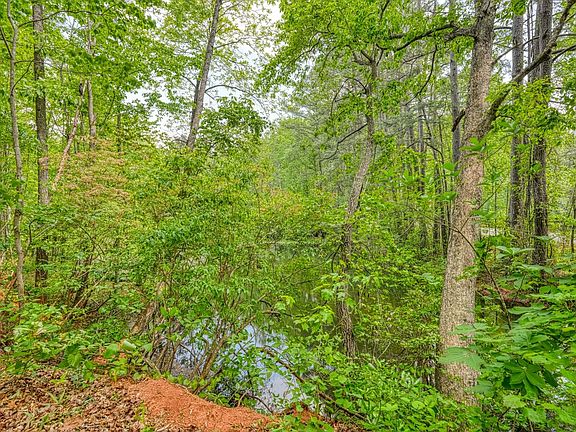 2nd image of 0 Motlow Creek Rd
