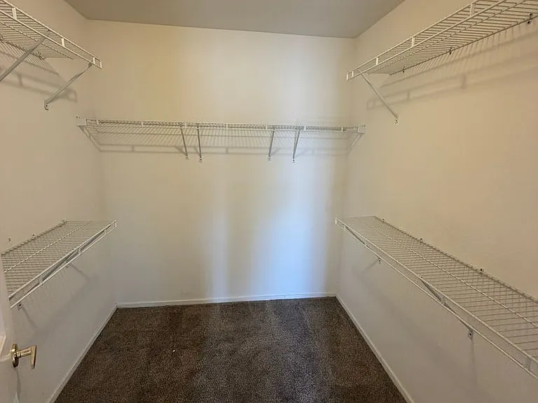 5408 Cove Point Dr — Photo 23