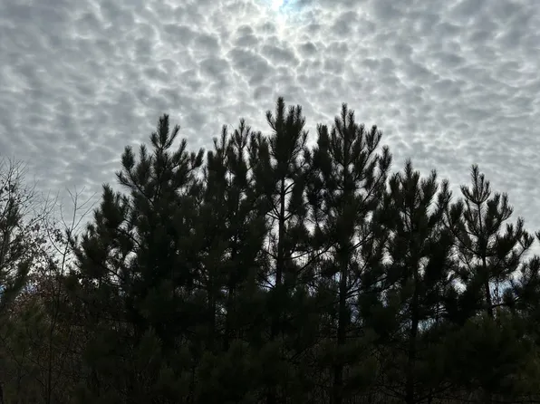 On Cth Y, Tomahawk, WI 54487