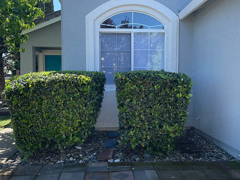 2161 Milan Way — Photo 15