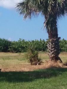 34155 NW 21st Ave, Okeechobee, FL, 34972