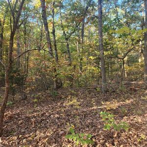 0 Turkey Ridge Rd, New Florence, MO, 63363