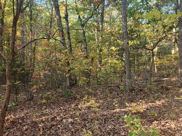 0 Turkey Ridge Rd, New Florence, MO 63363