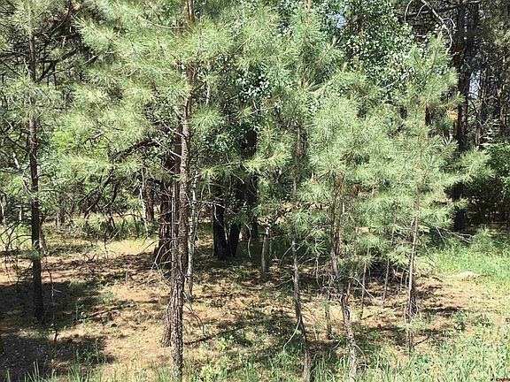 3rd image of 429 Enchanted Forest Drive