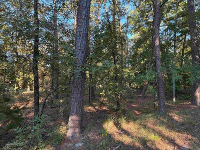 34 Cresta Way, Hot Springs Village, AR, 71909