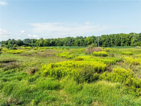 Webster Rd, Centerburg, OH 43011