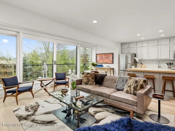 748 S Galena St #4D, Aspen, CO 81611