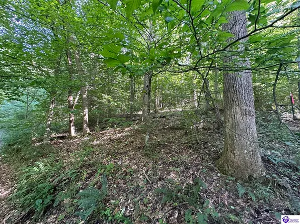 TRACT Fuller Harding Rd #F, Campbellsville, KY 42718