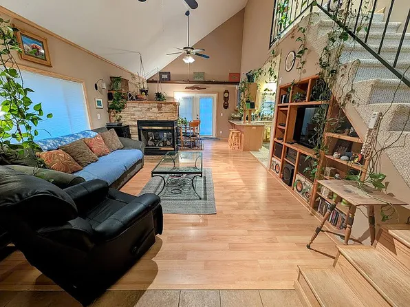 55 Rafferty Dr, Leadville, CO 80461