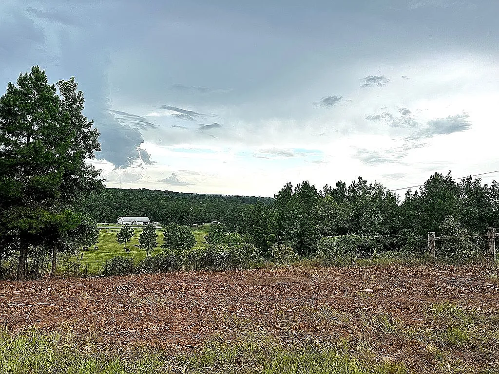 1645 County Road 1306 photo 1