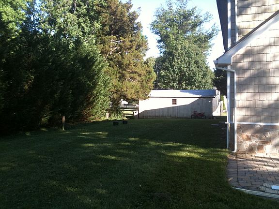 back yard