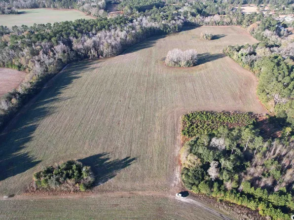 TBD Golf Rd Ext, Greeleyville, SC 29056
