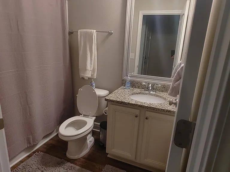 Main house guest bathroom