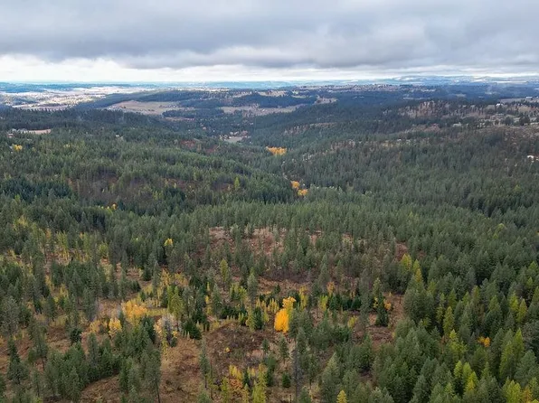 0 N Mount Carlton Apn 47131.9081 Rd, Mead, WA 99021