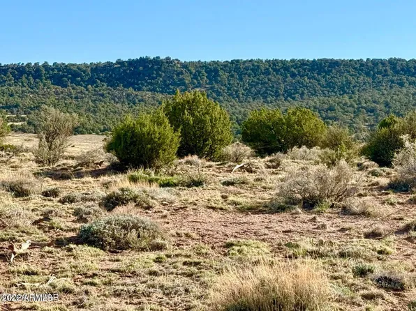 85 Co Rd 8500 Acres -- #-, Concho, AZ 85924
