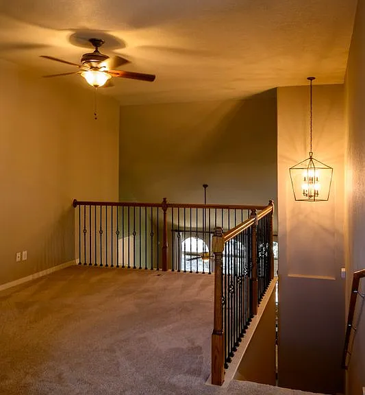627 Oxalis — Photo 16