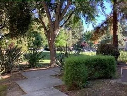 Backyard view of Greenbelt
