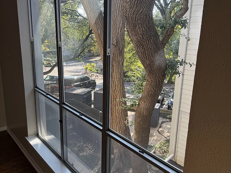 Views from Living room