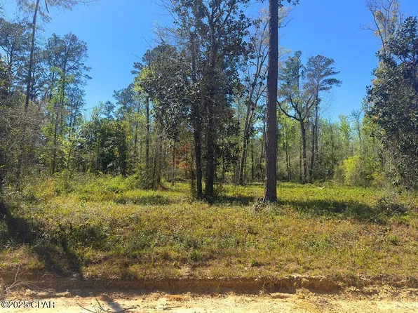Johnson St, Wewahitchka, FL 32465