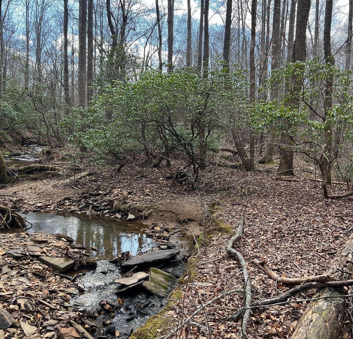 N/a Hobson Rd, Jasper, GA 30143 Zillow