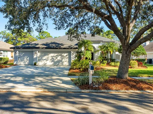 5433 Burnt Hickory Dr, Valrico, FL 33596