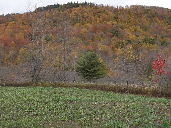 2nd image of Gregory Hollow Road