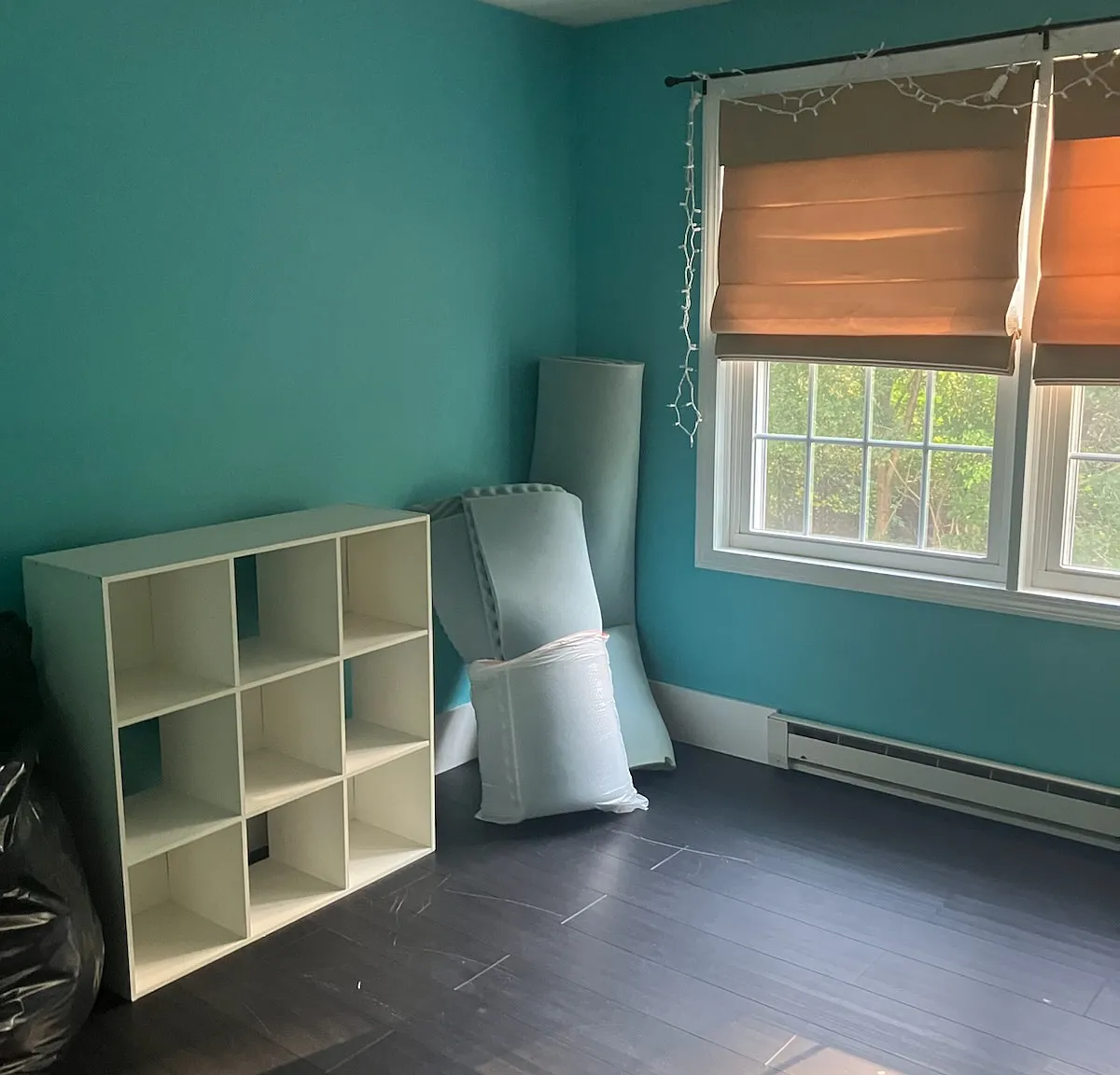 2 bed, 924 sqft, $2,100 — Photo 3