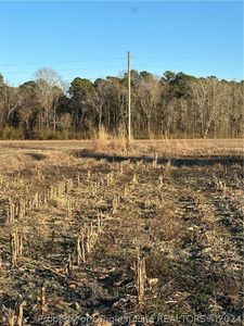 4 Costner Rd, Lumber Bridge, NC, 28357