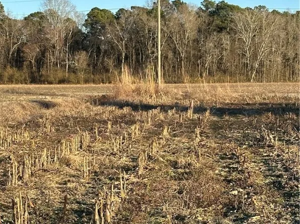 5 Costner Rd, Lumber Bridge, NC 28357