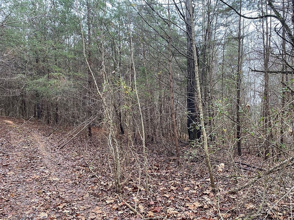 2nd image of 0 Pankey Ln