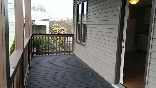 Back Patio