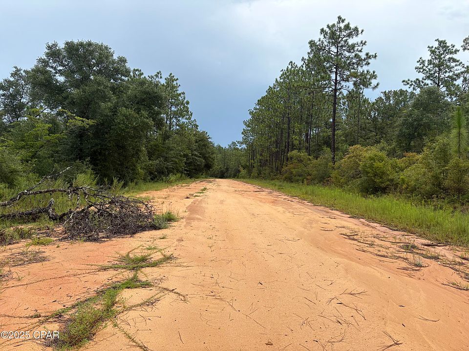 2nd image of LOT 29 Odum St
