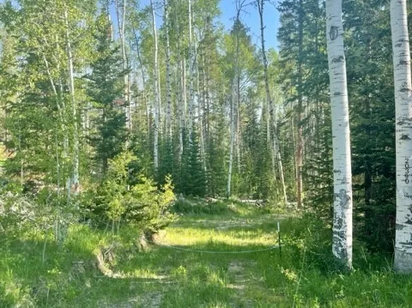 20390 King Bolt Trl, Oak Creek, CO 80467