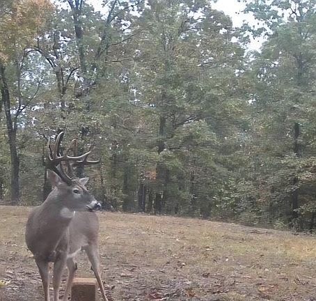 2nd image of Goldie Bend Rd