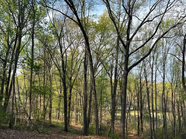 222 Ghost Hill Rd, Trinity, AL 35673