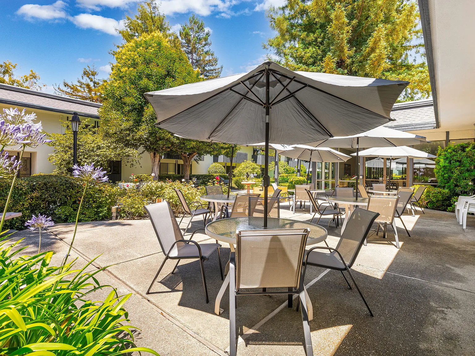 The Laurel at Mountain View (55+) — Photo 2