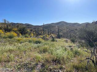 Xbx N Elephant Butte Rd, Gold Canyon, AZ 85118