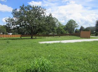 16061 SE 17TH STREET LOT 2,3, OCKLAWAHA, FL 32179