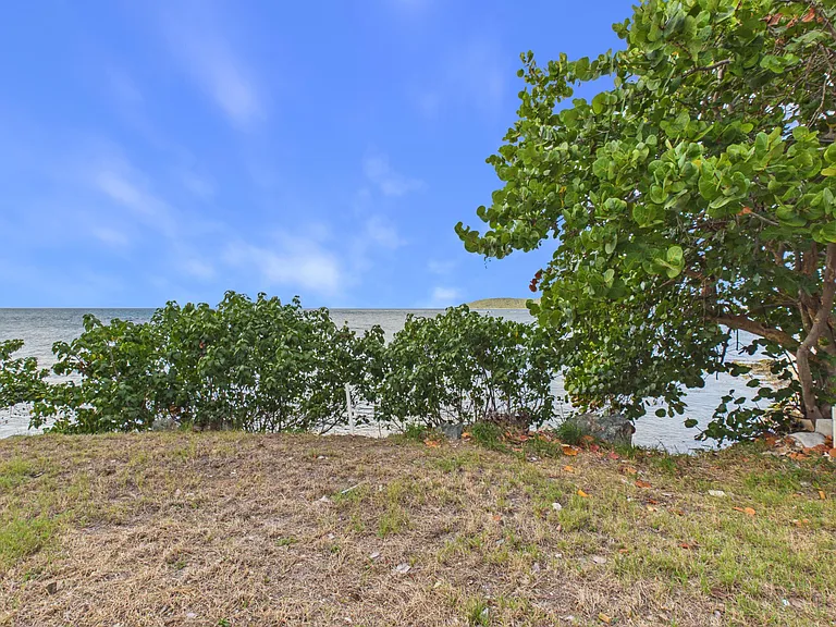 8 Cotton Valley Est #EB — Photo 34