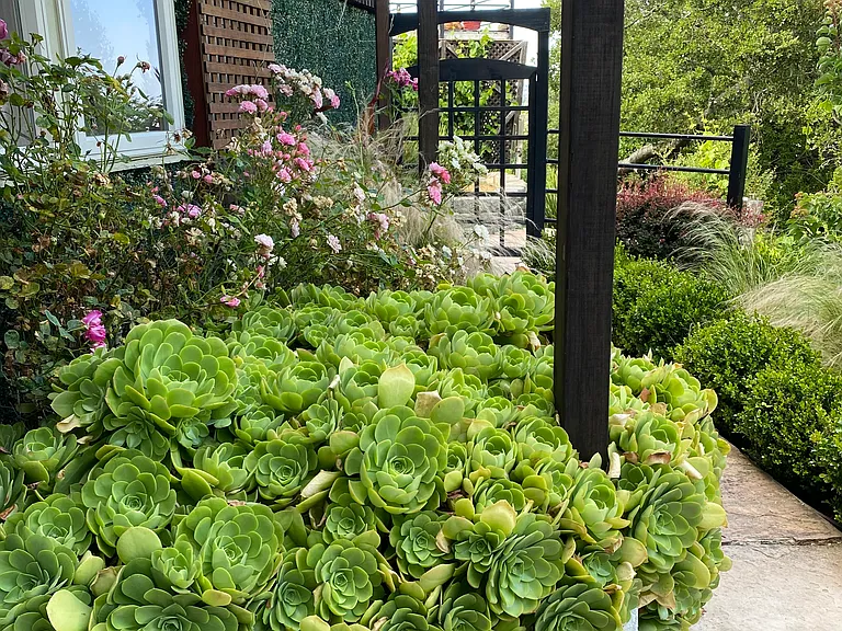Crestview Ter — Photo 11