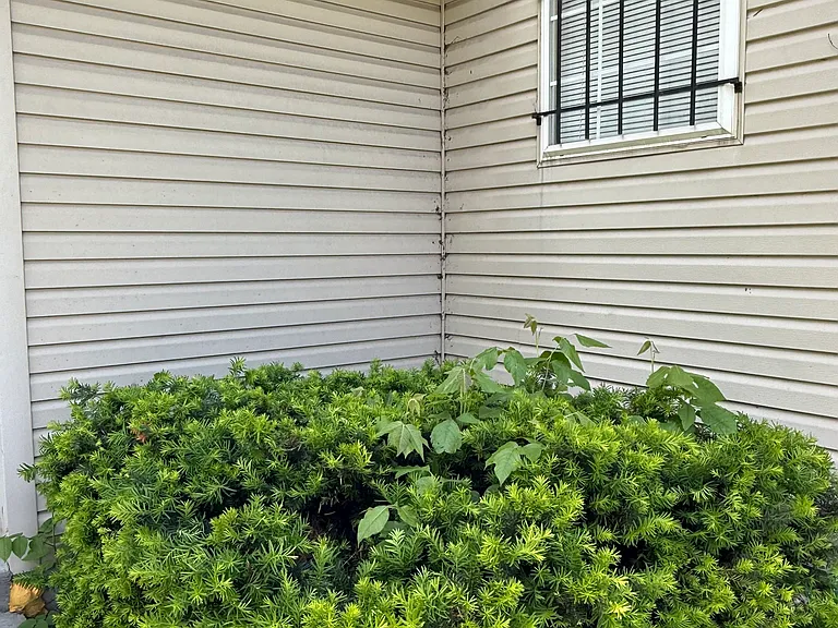4202 Flora Ave #4200 — Photo 14