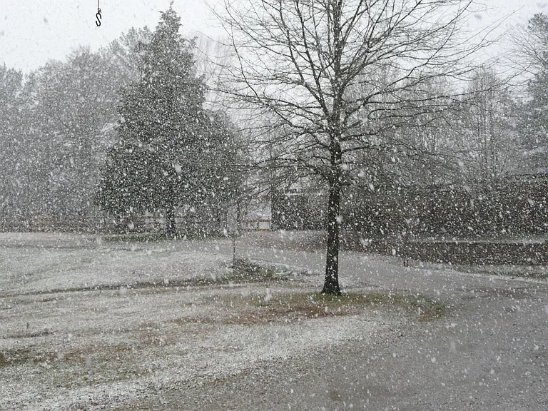 A Late Snow