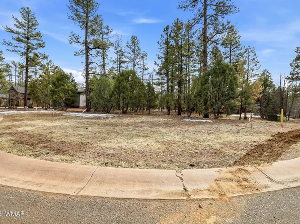 2480 Narrow Leaf Ln, Show Low, AZ 85901