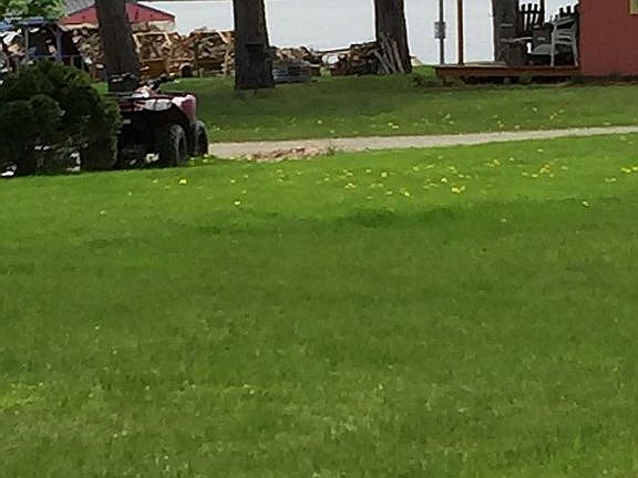 View of lake from porch 