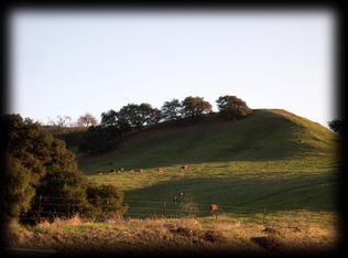 15365 Feldspar Dr, Chino Hills, CA 91709