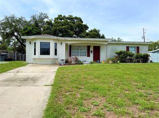 217 Cranberry Ln, Brandon, FL 33510