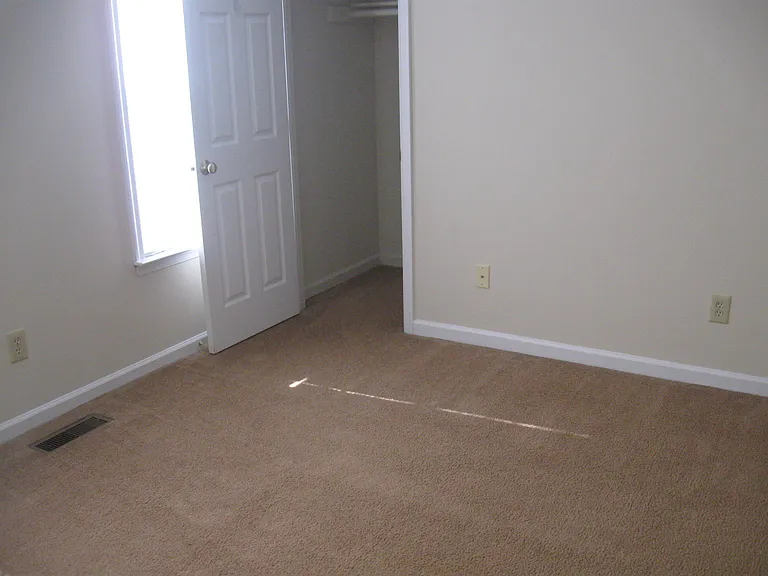 356 Bailey Run Ln — Photo 13
