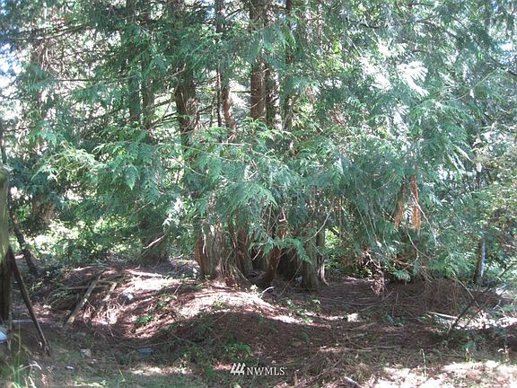 4th image of 131 Shaggy Mane Lane